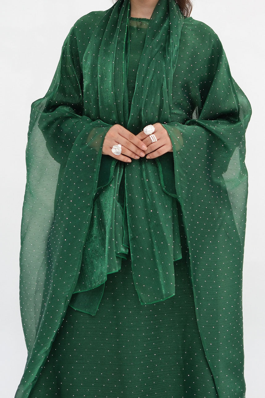 Aria Rhinestone-Embellished Elegant  Dress 1045 – Green